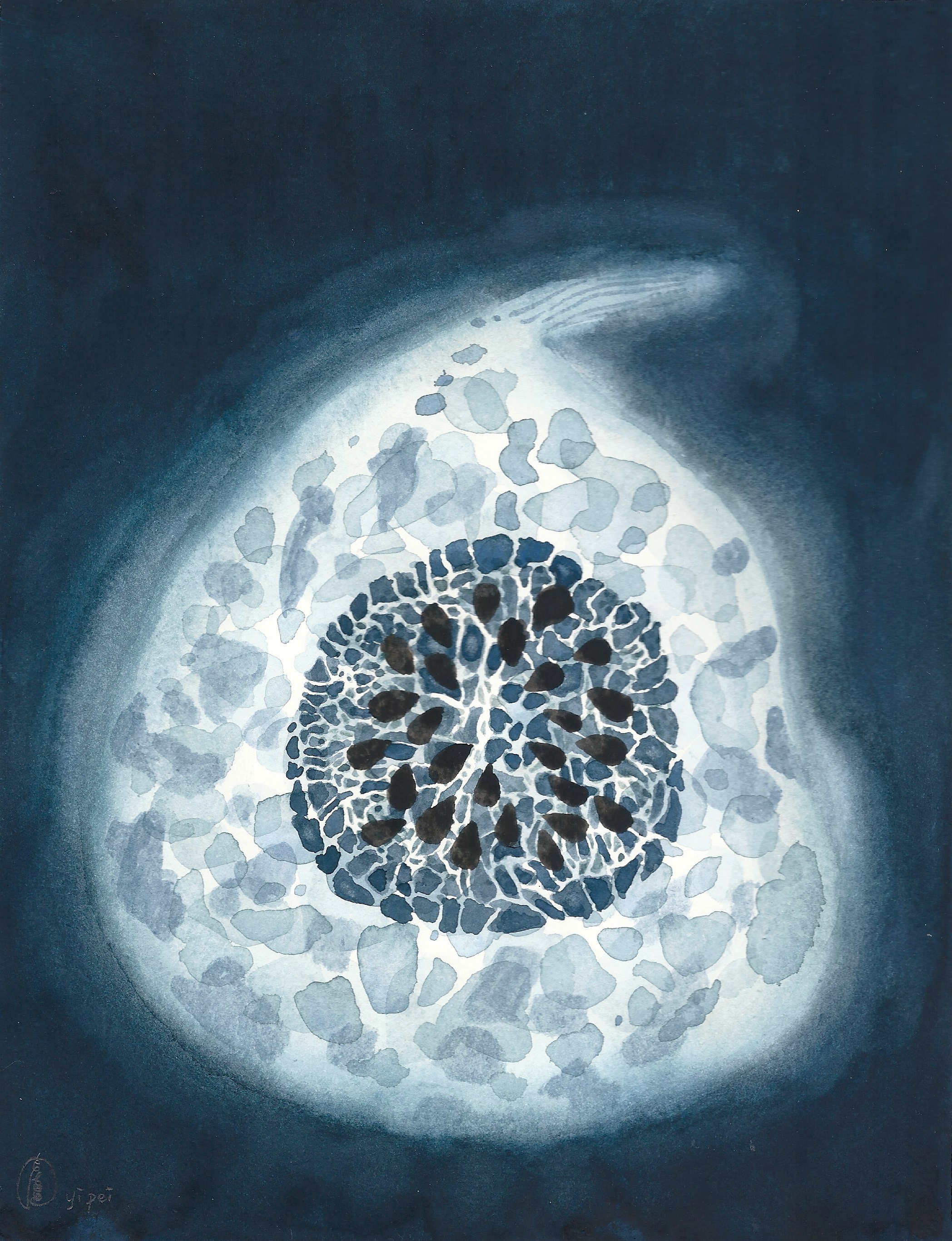 Luminous Pumpkin, watercolour on paper, 18x23cm, 2018.